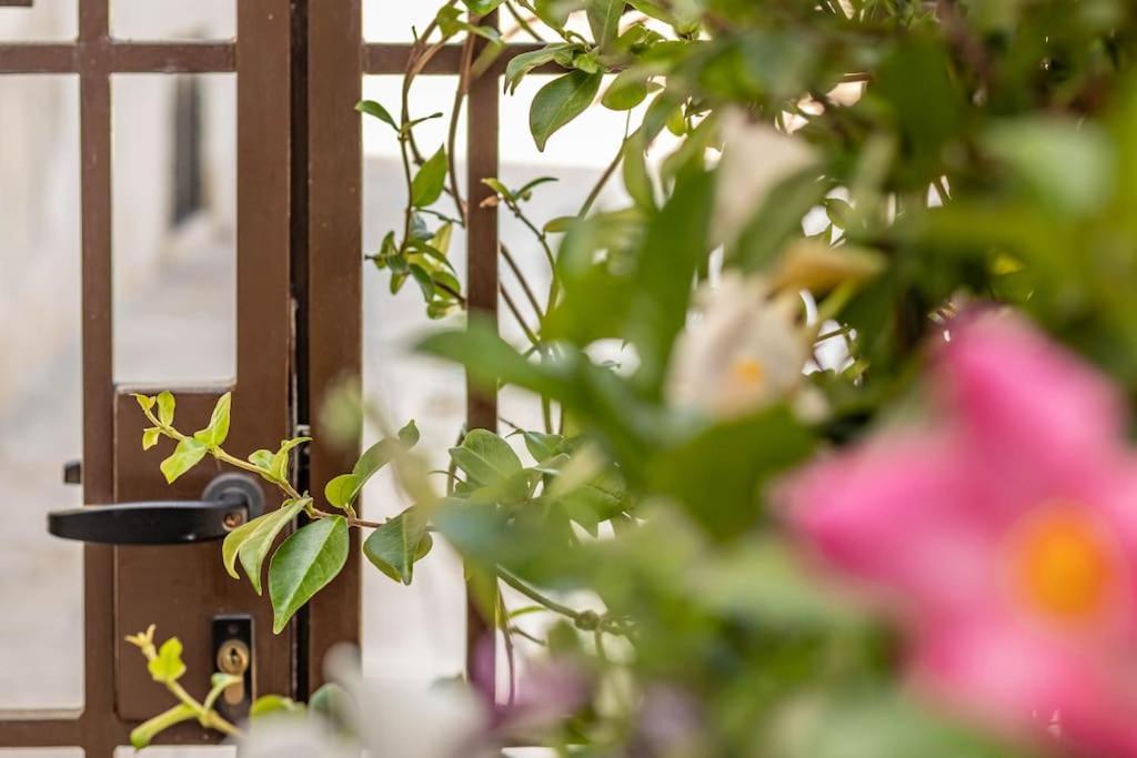 Cconforthotels Appartamento Domus Venezia Bari Exterior photo